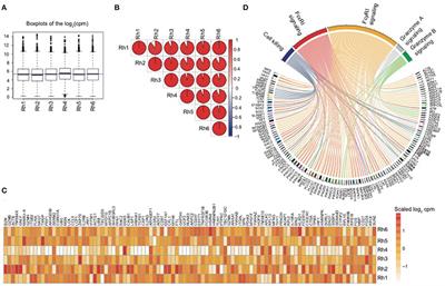 Delineation and Modulation of the Natural Killer Cell Transcriptome in Rhesus Macaques During ZIKV and SIV Infections